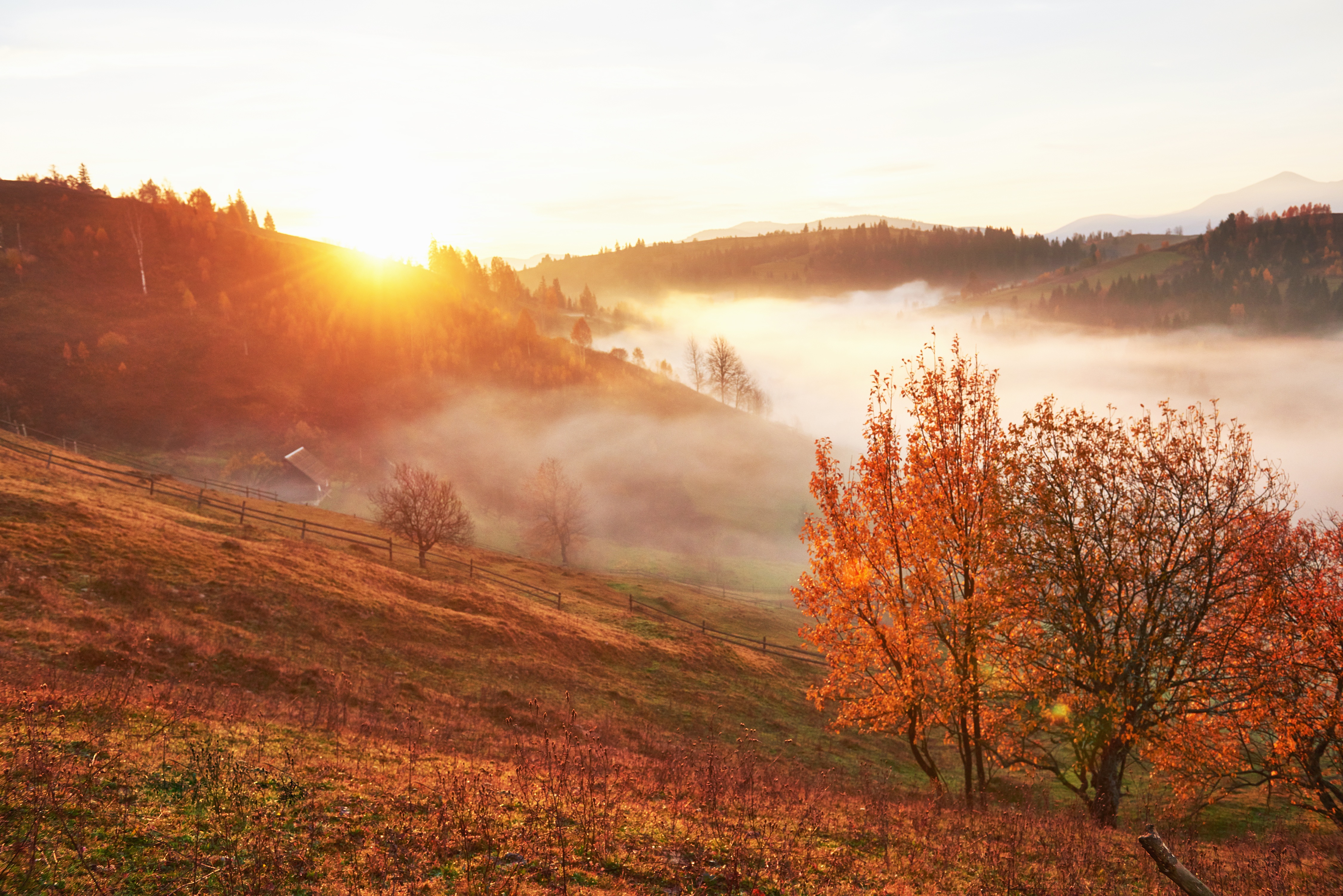 Paisaje de otoño
